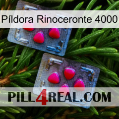 Píldora Rinoceronte 4000 14